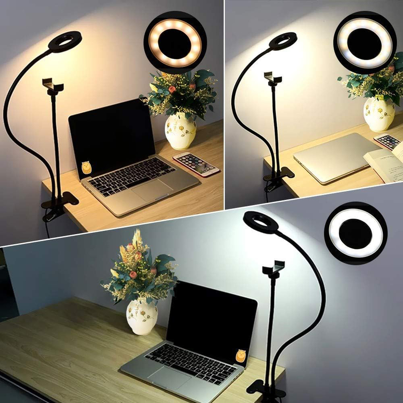 Selfie Ring Light and Cell Phone & Webcam Holder Stand, Black