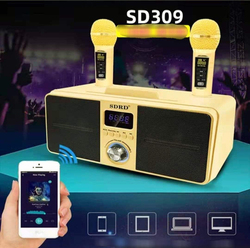 SDRD SD-309 Dual Wireless Karaoke Microphone Bluetooth Speaker Mobile Stereo Speaker Set, 30W, Black