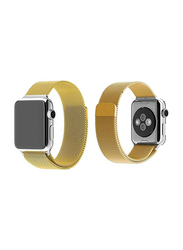 Magnetic Milanese Loop Stainless Steel Band For Apple iWatch 42mm, Gold