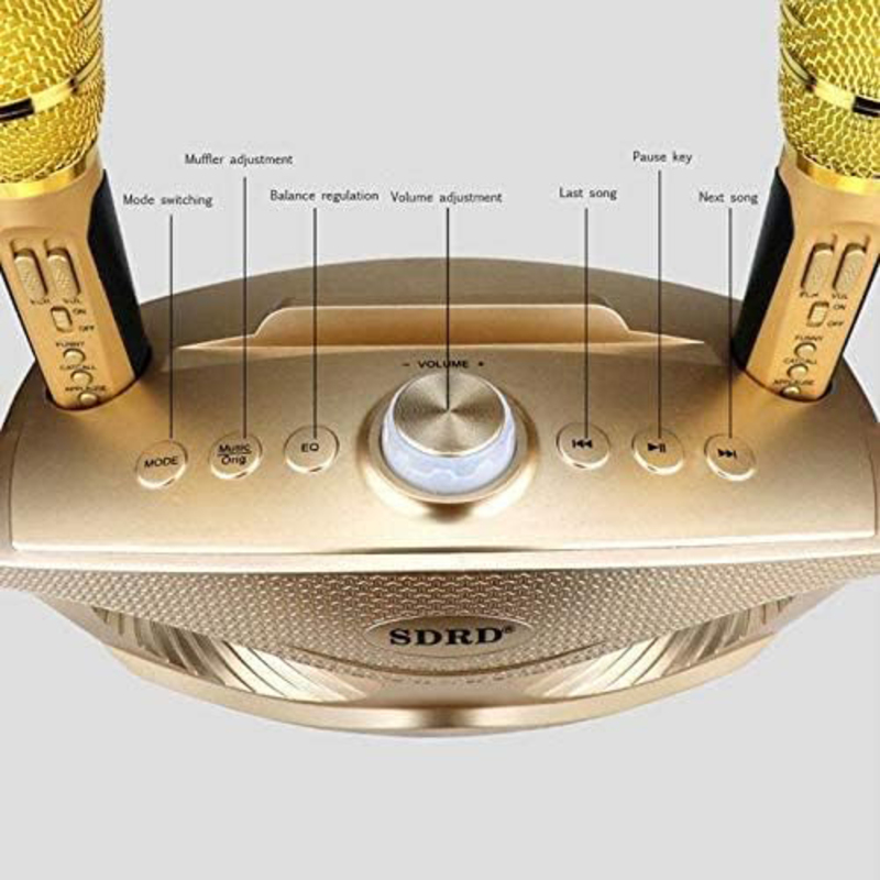 OXOQO SD306 Dual Wireless Karaoke Microphone and Mixer System for Dj Party Church Wedding Home Speech, Gold