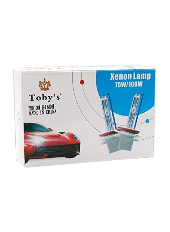 Toby's Hid Xenon Bulb Replacement