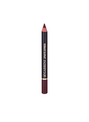 Gabrini Lip and Eye Express Pencil