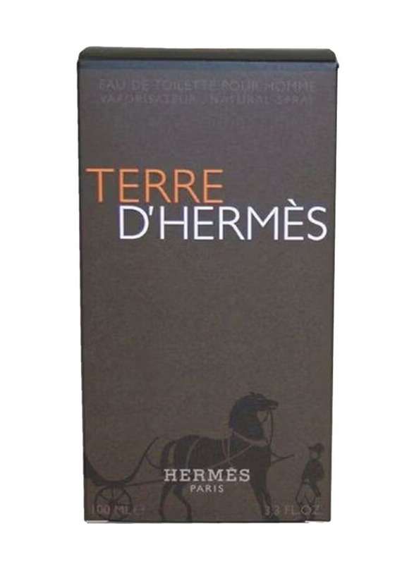 Hermes Terre D' Hermes 100ml EDT for Men