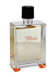 Hermes Terre D'Hermes 100ml EDT for Men