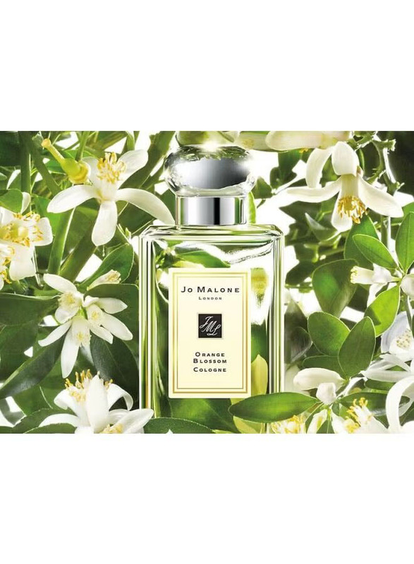 Jo Malone Orange Blossom 100ml EDC Unisex