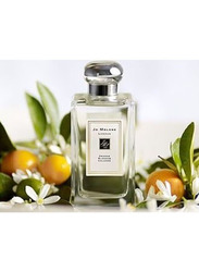 Jo Malone Orange Blossom 100ml EDC Unisex