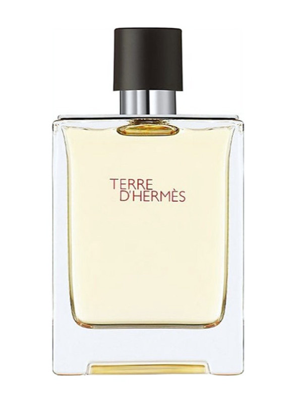 Hermes Terre D'Hermes 100ml EDT for Men