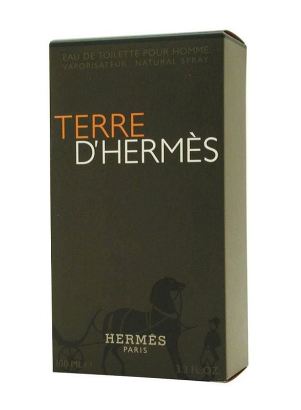 Hermes Terre D'Hermes 100ml EDT for Men