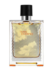 Hermes Terre D' Hermes Limited Edition Falcon Bottle 100ml EDT for Men