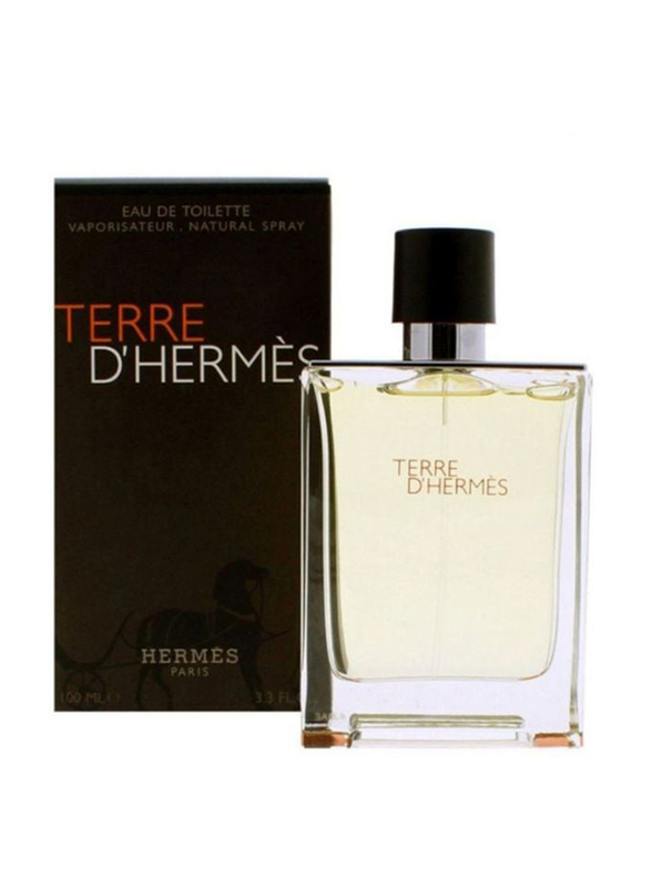 Hermes Terre D'Hermes 100ml EDT for Men