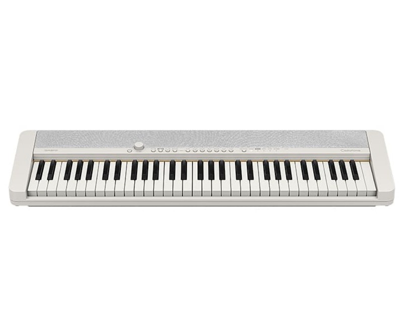 Casio Ct-S1WE 61-Key Portable Keyboard white with adaptor