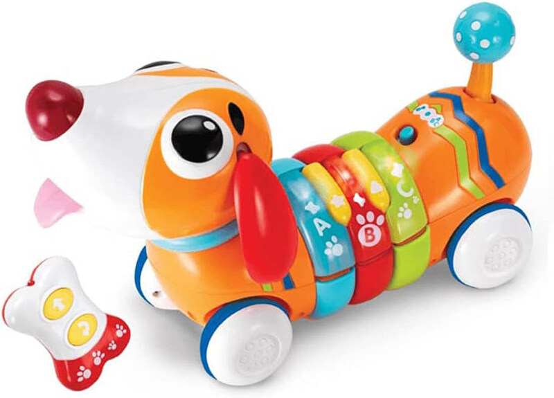 

Winfun 7301142 Activity and Remote Control, Orange, Ages 2+