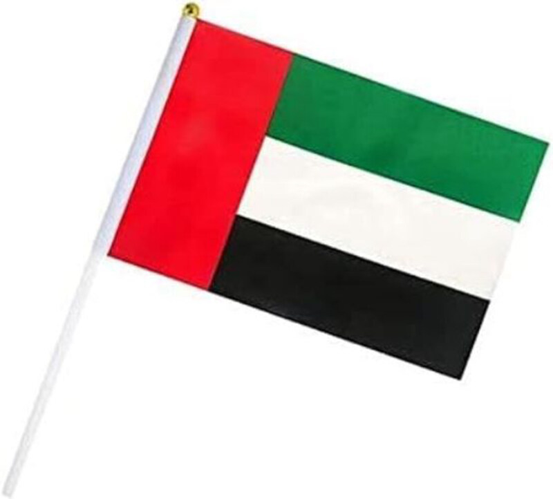 

SKT Uae Flag with Stick, 6 Pieces, Assorted