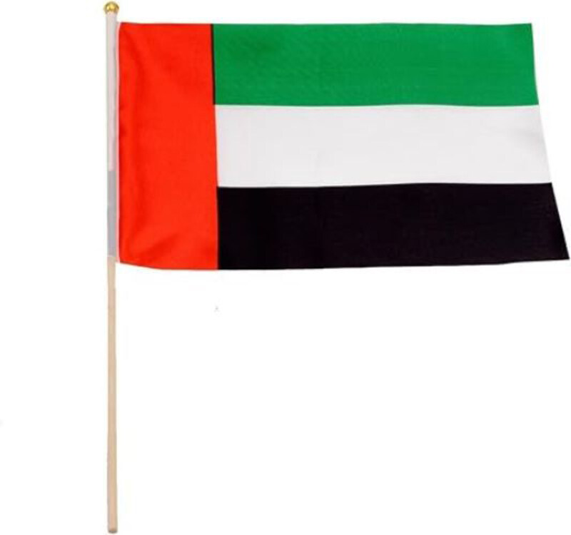 

Party Time UAE National Day Logo Flag Stitched in Strong Polyester Material Long Durability, 12 Pieces, Multicolour