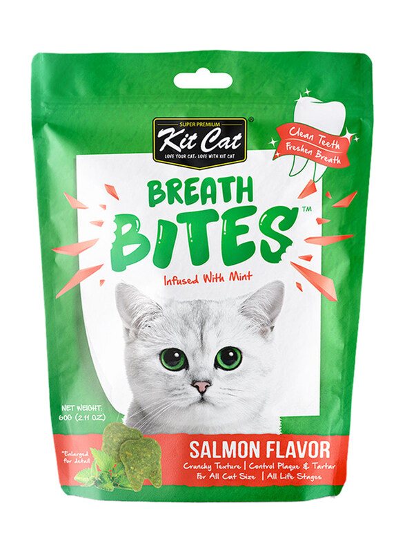 

Kit Cat Breath Bites Infused Mint Dry Cat Food with Salmon, 60g