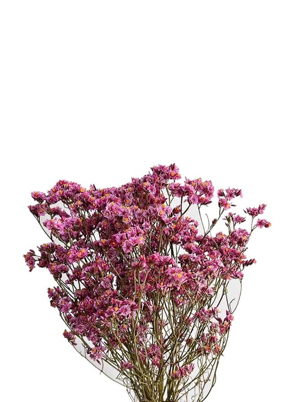 Real Dry Limonium Flower Bunch with Many Stem, 30 x 30 x 60cm, Fuschia