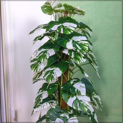 Nearly Natural Real Touch Artificial Monstera Plant, 60 x 60 x 170cm, Green/Brown