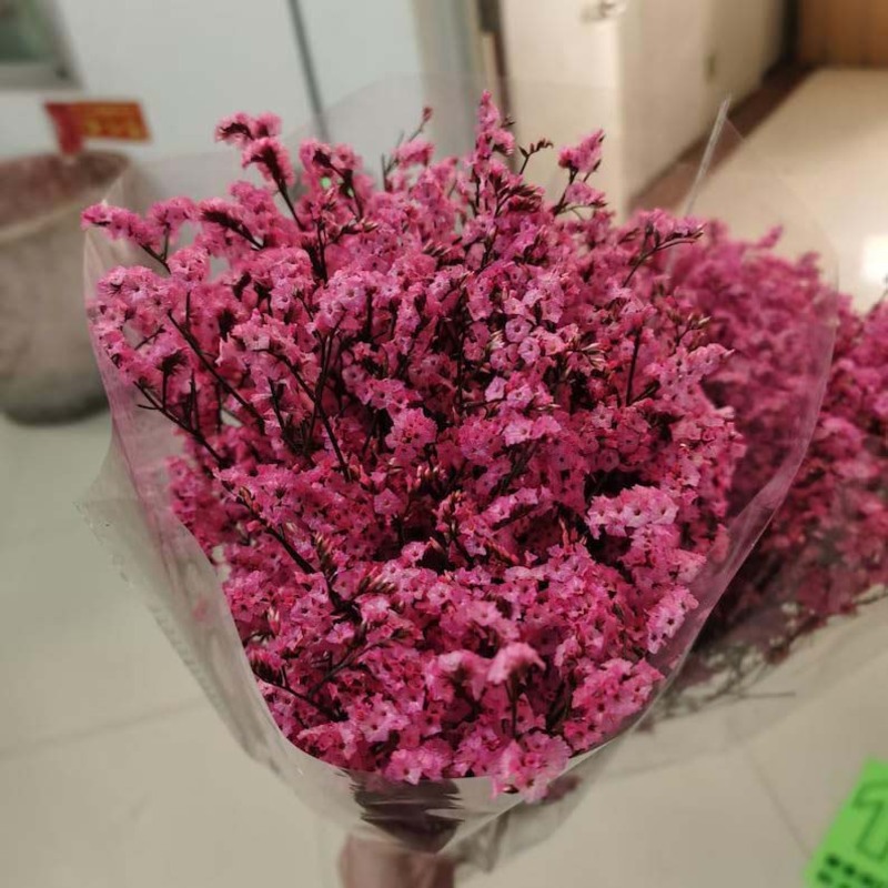 Real Dry Limonium Flower Bunch with Many Stem, 30 x 30 x 60cm, Pink