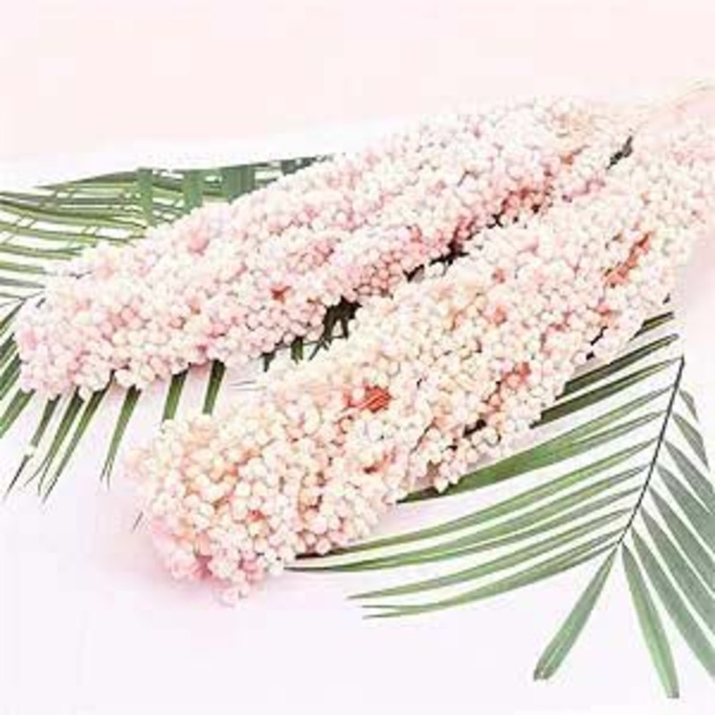 Real Dry Small Gypsum Flower with Stem, 50 x 50 x 60cm, Baby Pink