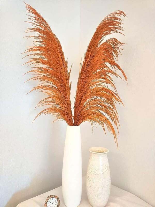 

Generic Real Dry Pampas Flower with Long Stem, 70 x 40 x 150cm, Orange