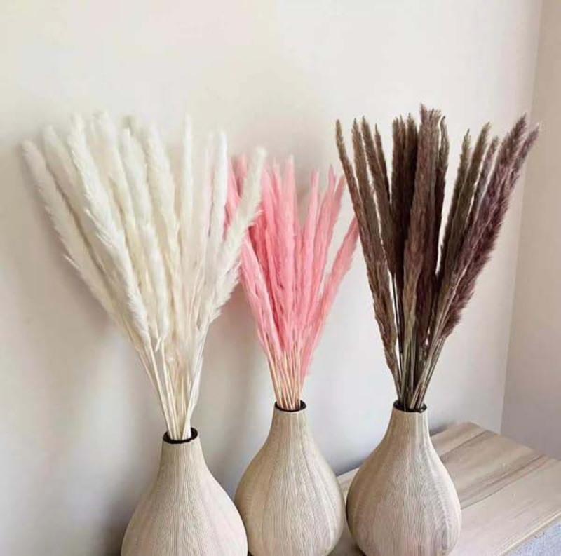 Beautiful Dried Pampas Stems for Weddings & Home Decorations, 5 Pieces Light Pink