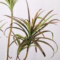 Nearly Natural Real Touch Artificial Yucca Slim Plant, 100 x 100 x 170cm, Green/Brown