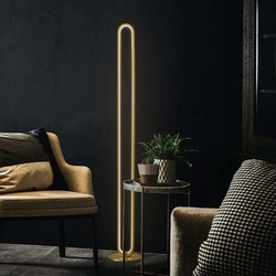 Oval Liner Golden Led Floor Lamp, Multicolour