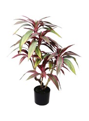 Nearly Natural Real Touch Artificial Cordyline-Fruticosa-Excelsa-Plant, 70 x 70 x 90cm, Green/Brown