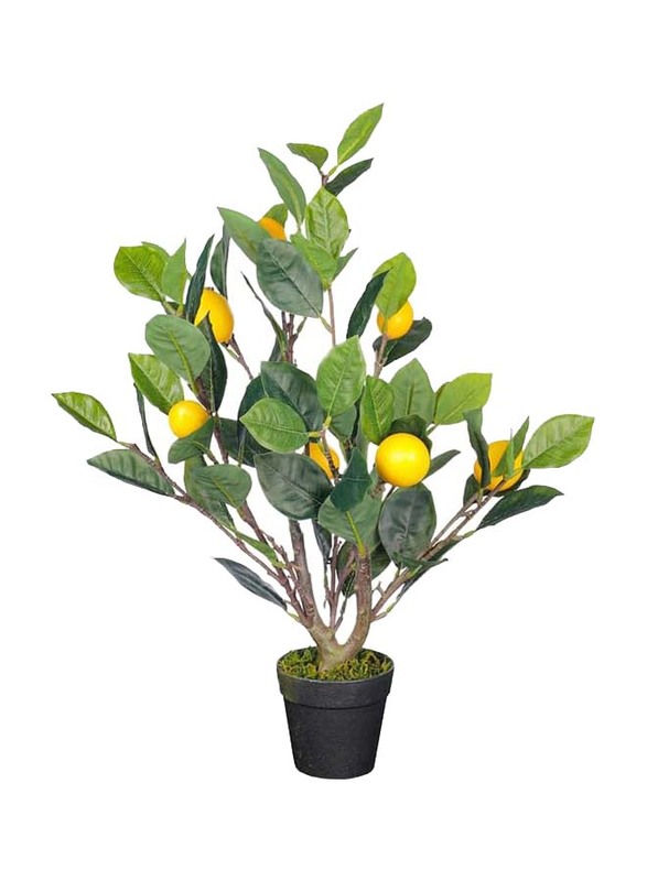 Nearly Natural Real Touch Artificial Lemon Plant, 40 x 40 x 60cm, Green/Brown