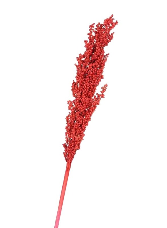 Real Dry Small Gypsum Flower with Stem, 50 x 50 x 60cm, Red