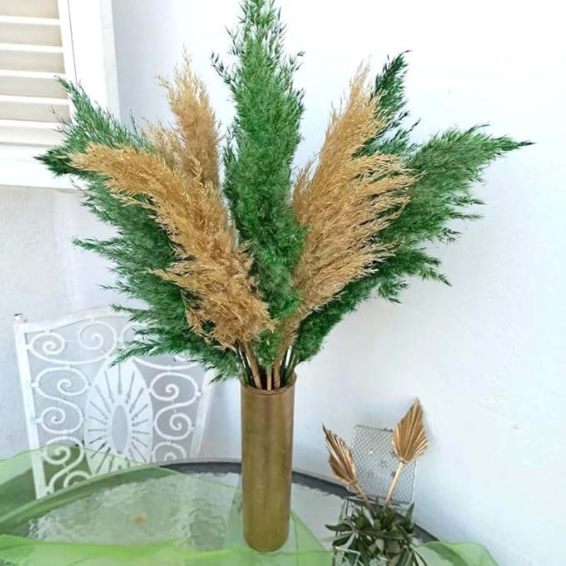 Real Dry Pampas Flower with Long Stem, 70 x 40 x 150cm, Green