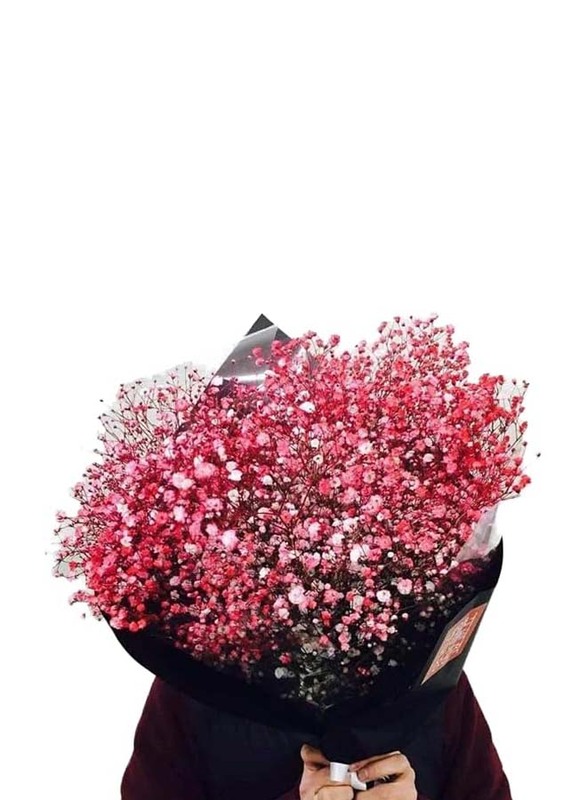 Real Dry Gypsophilia Flower Bunch, 50 x 50 x 80cm, Red