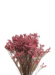 Real Dry Limonium Flower Bunch with Many Stem, 30 x 30 x 60cm, Pink