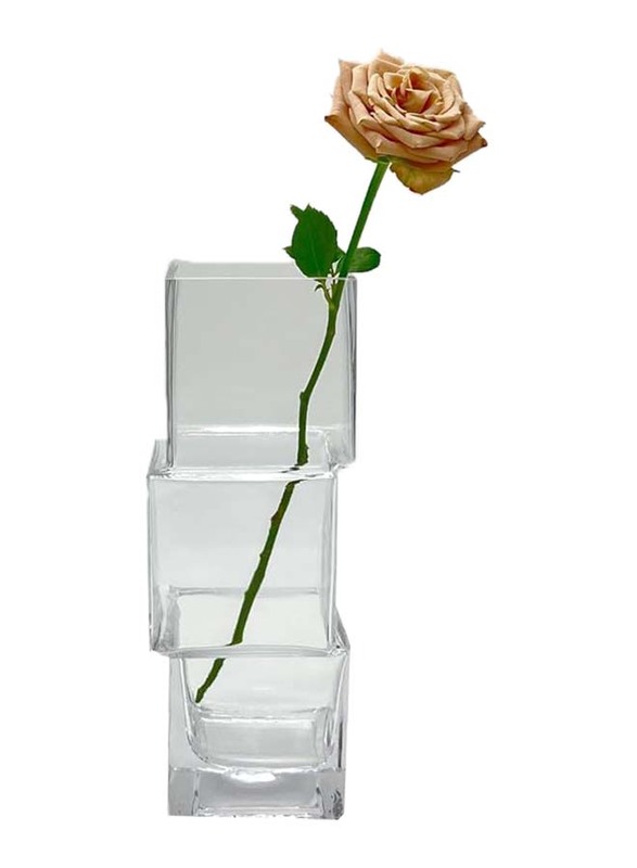 Square Glass Vase, 30 x 30 x 10cm, Transparent