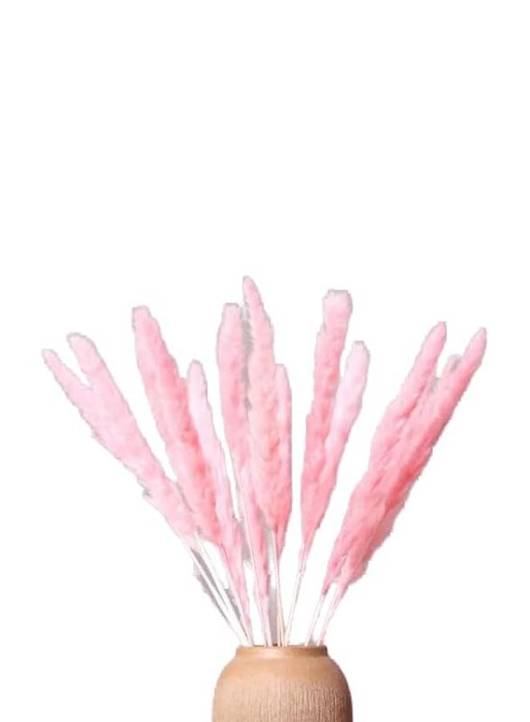 Beautiful Dried Pampas Stems for Weddings & Home Decorations, 5 Pieces Light Pink