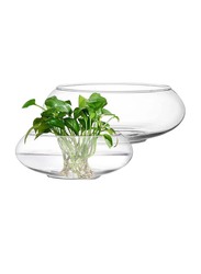 Wide Mouth Glass Flower Vase Round Terrarium, 6 and 8 Inch, 8 x 9.5 x 3.8cm, 2 Pieces, Transparent