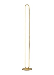 Oval Liner Golden Led Floor Lamp, Multicolour