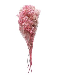 Real Dry Gypsophilia Flower Bunch, 50 x 50 x 80cm, Pink