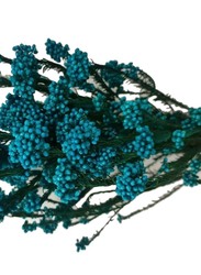 Real Dry Rice Flower with Stem, 60 x 60 x 80cm, Aqua Blue