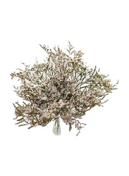 Real Dry Limonium Flower Bunch with Many Stem, 30 x 30 x 60cm, White