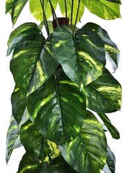 Nearly Natural Real Touch Artificial Money Plant, 80 x 80 x 150cm, Green/Brown