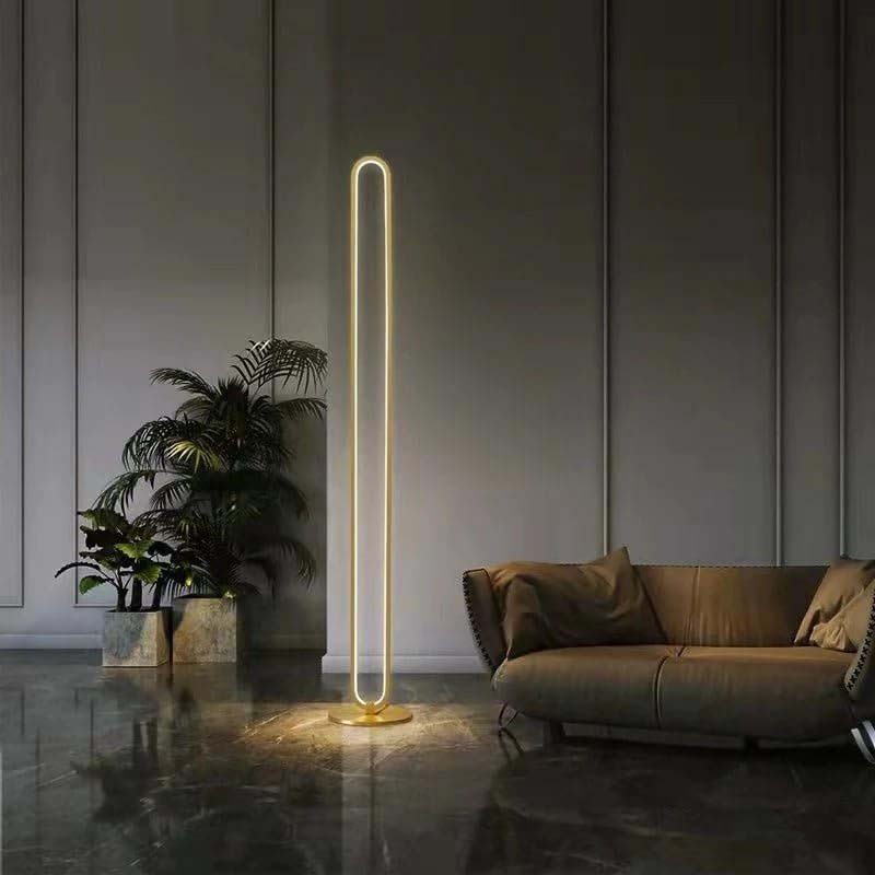 Oval Liner Golden Led Floor Lamp, Multicolour