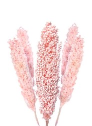 Real Dry Small Gypsum Flower with Stem, 50 x 50 x 60cm, Baby Pink