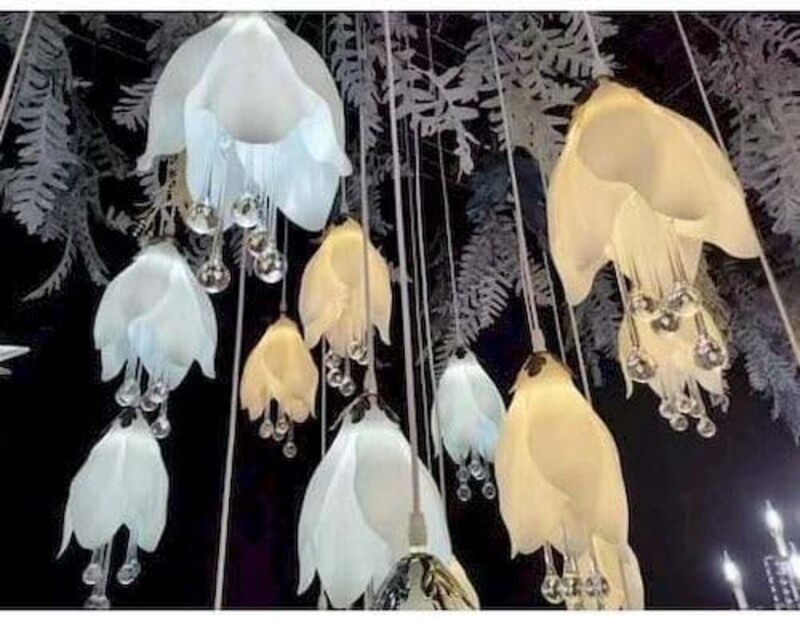 

Generic Tulip Hanging Lights, 30 x 30 x 10cm, White