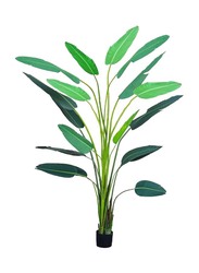 Nearly Natural Real Touch Artificial Banana Plant, 220 x 220 x 300cm, Green/Brown