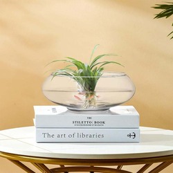 Wide Mouth Glass Flower Vase Round Terrarium, 6 and 8 Inch, 8 x 9.5 x 3.8cm, 2 Pieces, Transparent