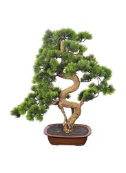 Generic Nearly Natural Real Touch Artificial Potted Bonsai Plant, 60 x 60 x 65cm, Green/Brown