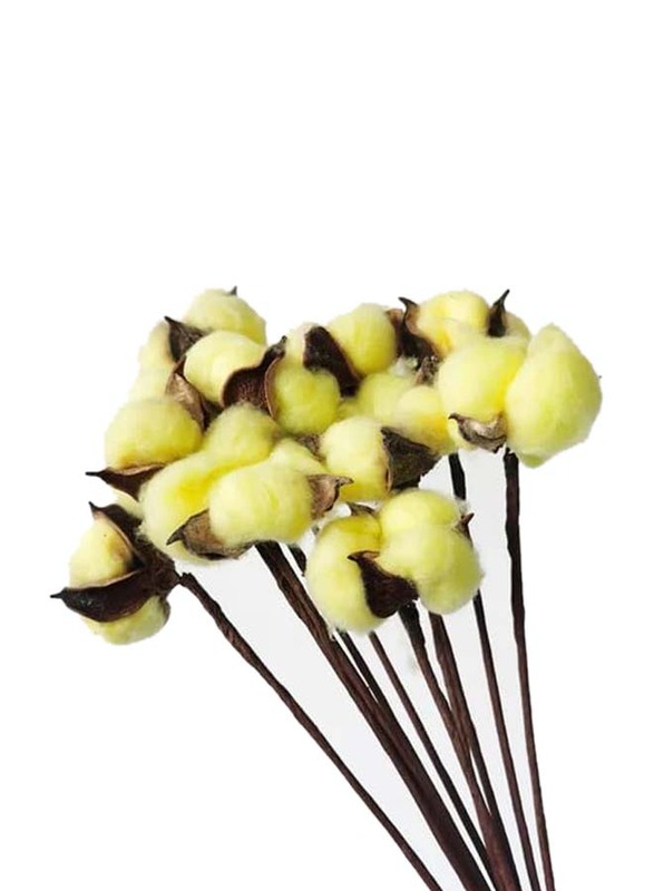 Dried Cotton Flowers for Weddings & Home Decorations, 5 Pieces, Yellow