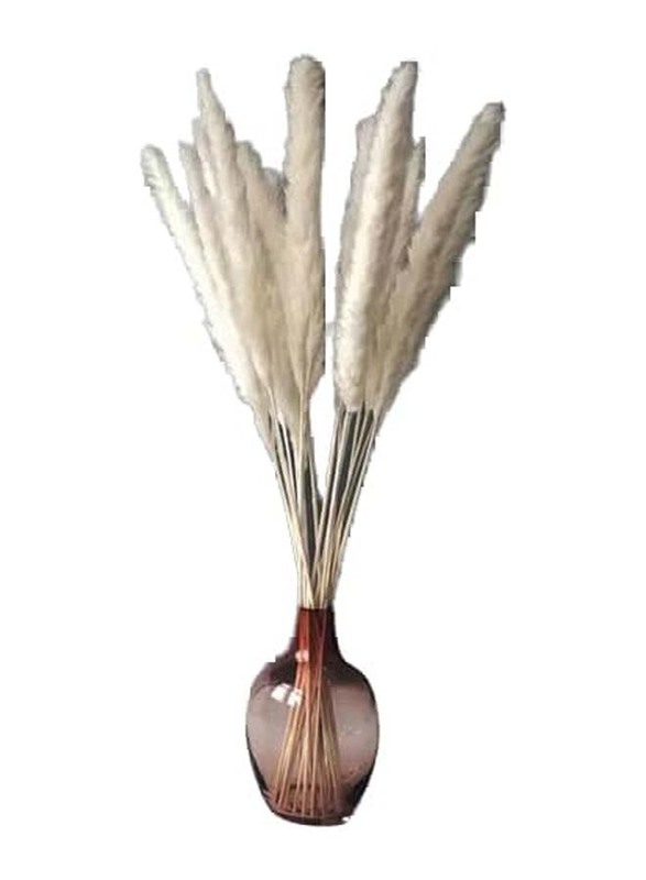 Beautiful Dried Pampas Stems for Weddings & Home Decorations, 5 Pieces, Off-White