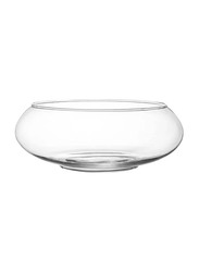 Wide Mouth Glass Flower Vase Round Terrarium, 6 and 8 Inch, 8 x 9.5 x 3.8cm, 2 Pieces, Transparent